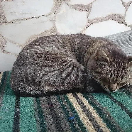La Casita 샬레